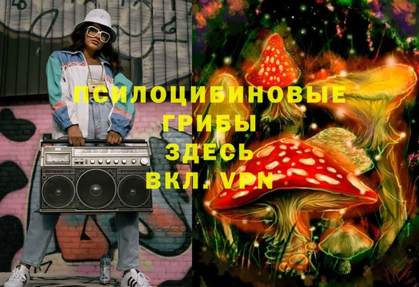 гашик Алексеевка